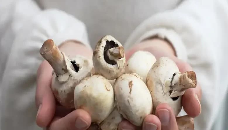 تصویر 3 از قارچ دکمه ای تازه طعمی طبیعی و خوش‌ عطر